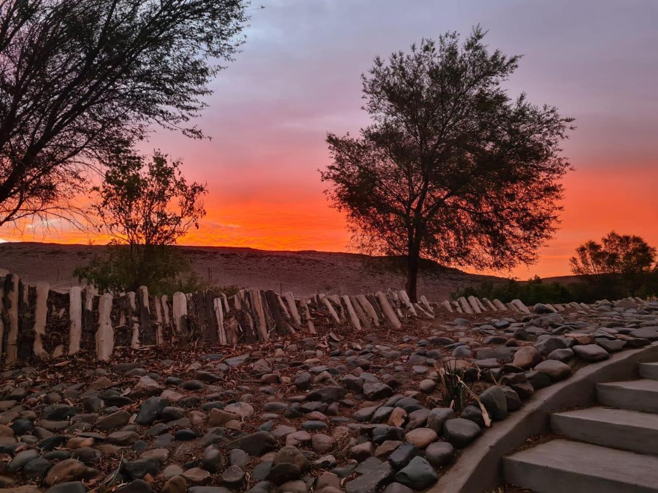 Kwelanga River Lodge Vioolsdrift Eksteriør billede