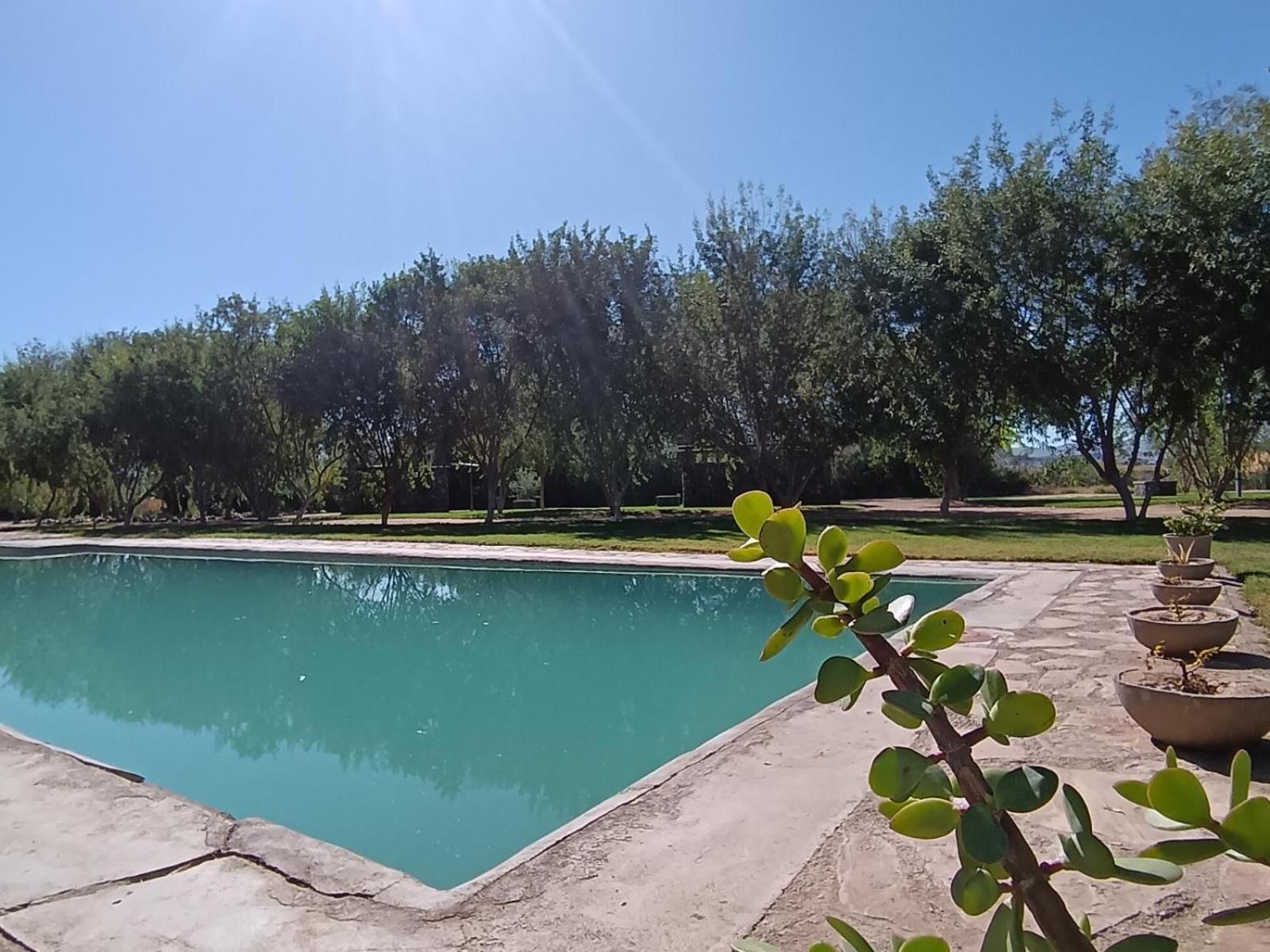 Kwelanga River Lodge Vioolsdrift Eksteriør billede
